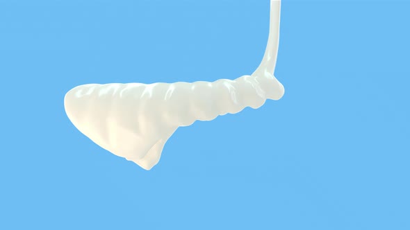 3D Animation Of Drooping Melted whipped Cream Sweet