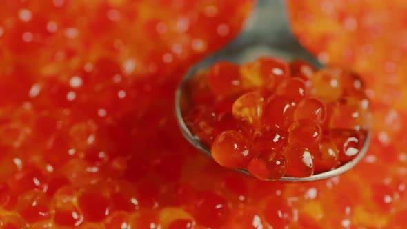 Teaspoon with Juicy Red Caviar on Background of Caviar