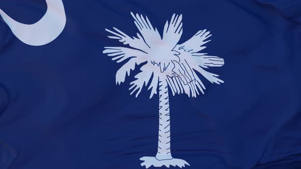 Flag of South Carolina State Region of the United States Waving at Wind