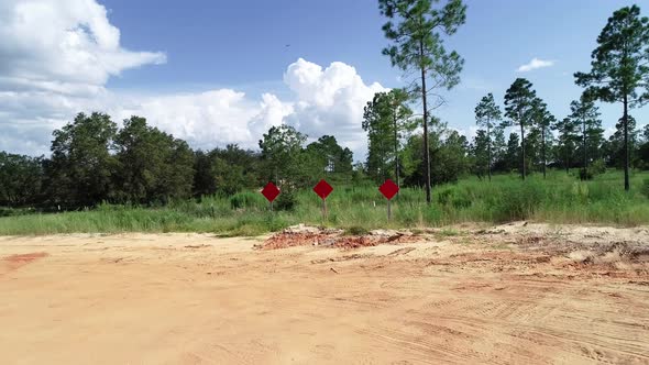 A dead-end road leads to a pine scrub forest.