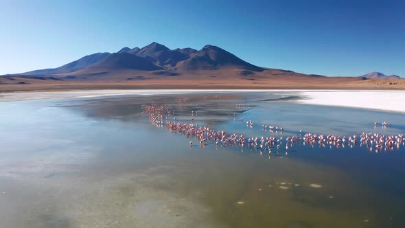 Sunrise View of Laguna De Canapa with Flamingo Bolivia Altiplano