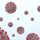 Concept 8-V1 3D Animation of Coronavirus (COVID-19) known as (SARS-CoV-2) - VideoHive Item for Sale