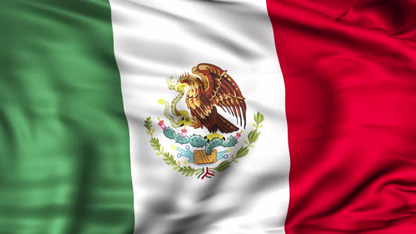 Mexico Flag