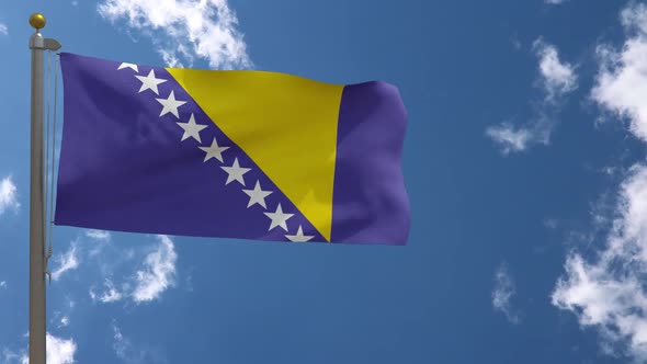 Bosnia And Herzegovina Flag On Flagpole