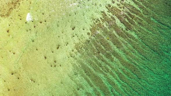 Aerial top down texture of perfect lagoon beach wildlife by blue lagoon with white sandy background 