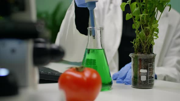 Closeup of Botanist Reseacher Woman Taking Dna Liquid Test From Medical Glass with Micropipette