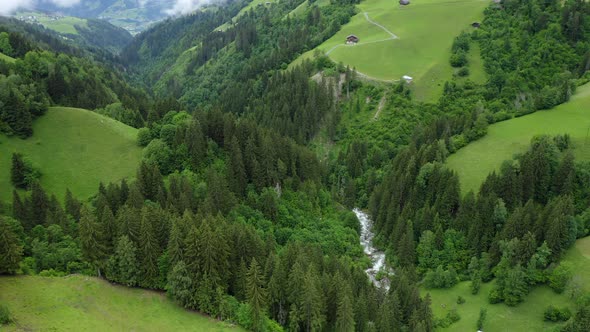 Aerial Fly in Alpine Mountains with Pinetree Forest and River