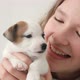 Girl Petting and Playing with a Small Puppy - VideoHive Item for Sale