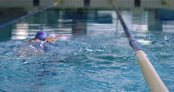 Swimmers training in a swimming pool