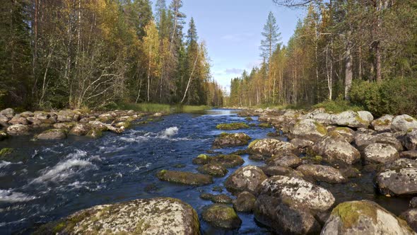 River Flows in Oulanka National Park, Finland. Gimbal Shot