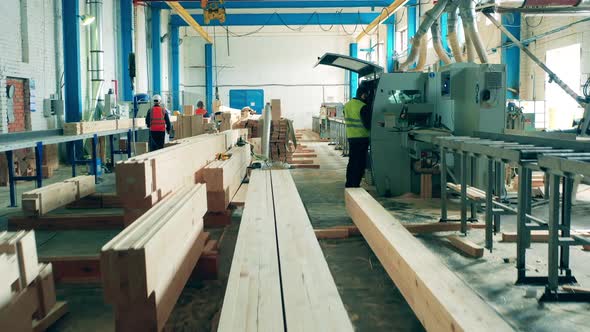 People Work with Timber at Woodworking Factory.