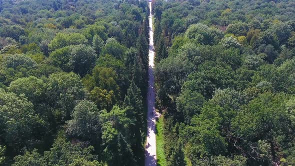 Long Pathway Running in Middle of Enormous National Park, Preservation Sanctuary