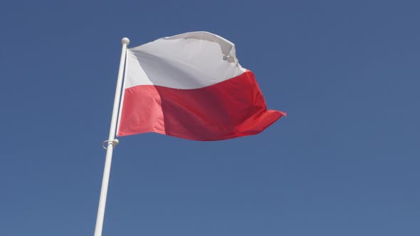 National symbol of Poland in front of blue sky 4K 2160p 30fps UltraHD footage - Polish flag red and 