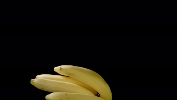 Flying Bunch of Bananas on a Black Background