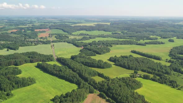 View From the Height of the Green Field and the Forest Near Minsk