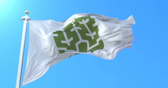 Matsuyama City Flag, Japan