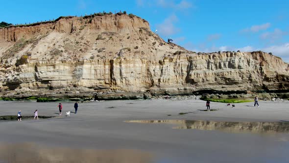 Dog Beach Off-leash on Del Mar North Beach, San Diego County