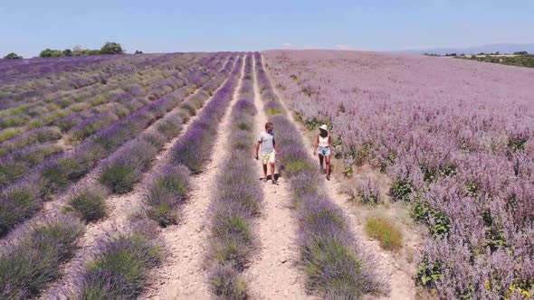 Valensole Plateau Provence Southern France