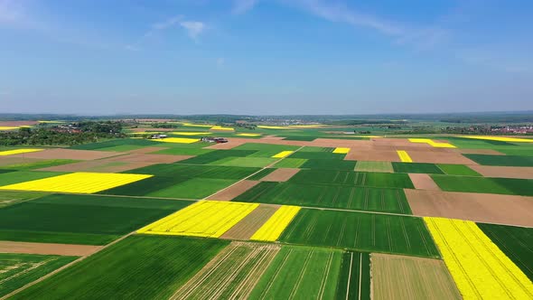 Agricultural fields at Lich / Munzenberg district, Hesse, Germany