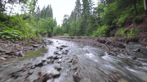 Smooth Rapid Flight Over a Mountain River Close to the Water Among a Dense Forest