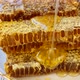 Liquid Golden Honey Flows Down the Honeycomb - VideoHive Item for Sale