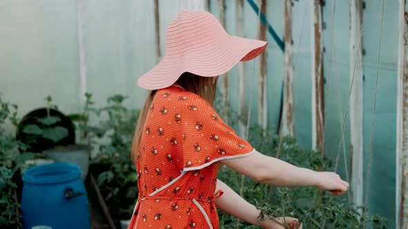 Young Woman Gardener Working with Plants in Greenhouse. A Girl Checks How Tomatoes and Cucumbers