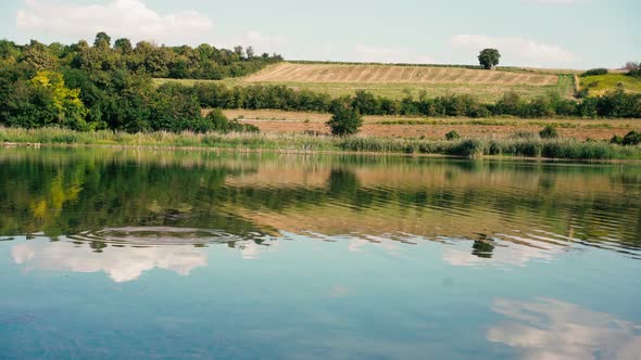 Nature Landscape Calm Lake Water on the Background of Field and Trees