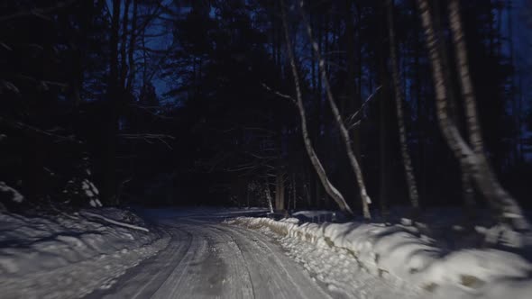 Night Wint Forest Road