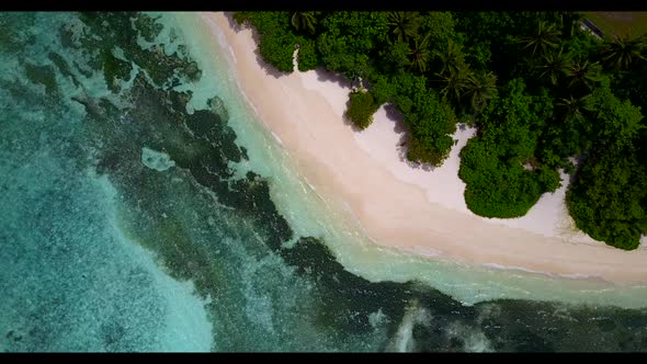 Aerial view abstract of luxury island beach wildlife by turquoise sea and white sandy background of 