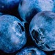 Closeup view of fresh blueberries. - VideoHive Item for Sale