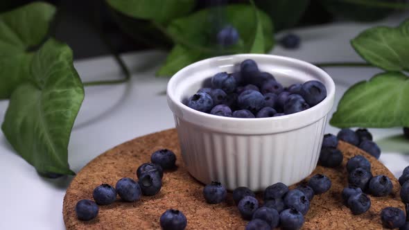 Delicious Blueberries Falling in White Bowl. Cinematic View with Green Plants in the Background