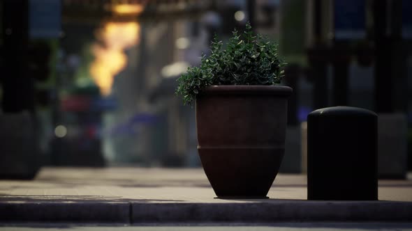 Lockdown Coronavirus Covid19 Empty Streets alt