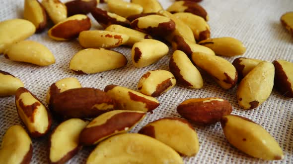 Brazil Nuts