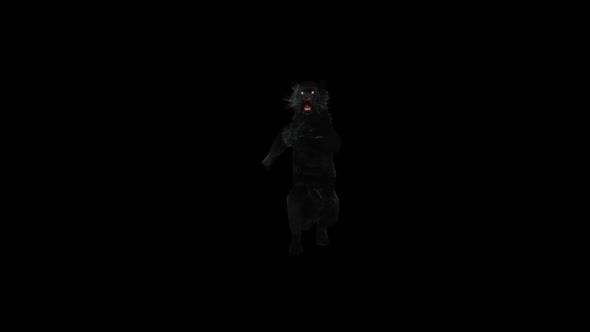 Panther Dancing HD