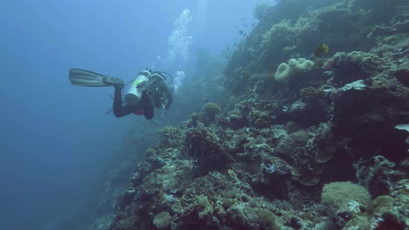 Scuba Diver Exploring Coral Reef During Scientific Diving in Sea with Equipment. Professional Scuba