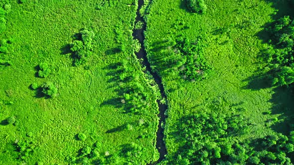 Curvy river and green marshland. Aerial view of wildlife, Poland.