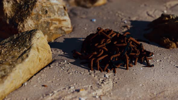 Old Rusted Abandoned Chain on Sand Beach