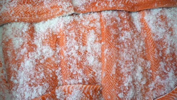 Industrial preservation of smoked salted salmon fish with sea salt