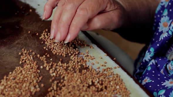 Old Hand Sort Buckwheat.