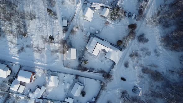 Shooting a Winter Forest with a Quadcopter