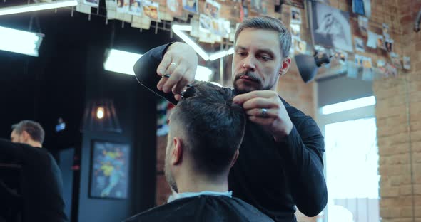 Professional Hairdresser Stylist Cuts with Scissors the Hair of a Man