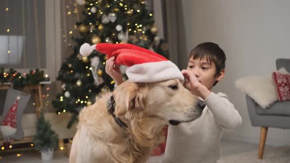 Happy Kid Putting Santa Hat on Dog