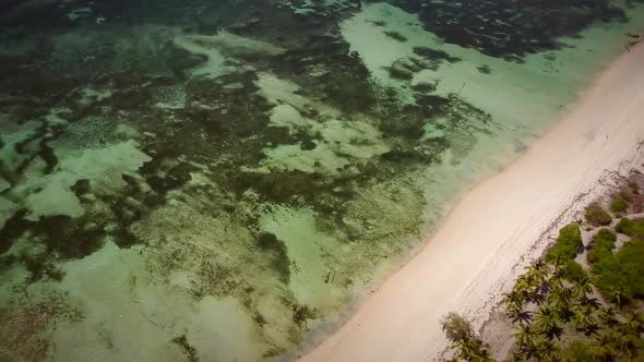 Aerial view of the paradisiac coast of Mafia Island, Tanzania.