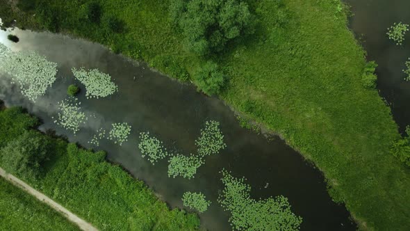 Flight Over The City Park. You Can See The Lilies On The River. Aerial Photography