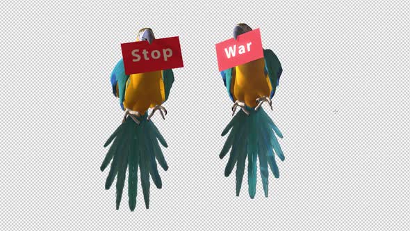 Parrots Carry Stop War Placard