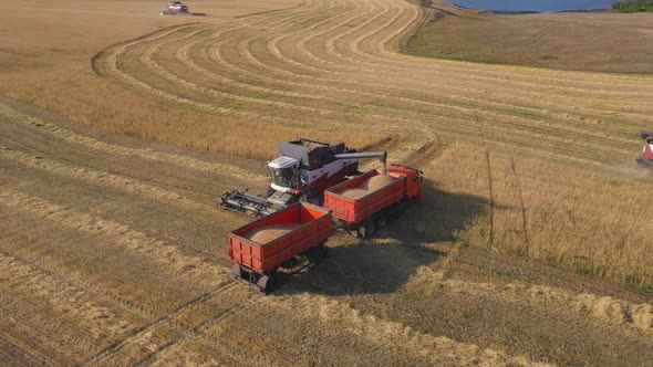 Harvesting Corn with a Combine and Grain Cart