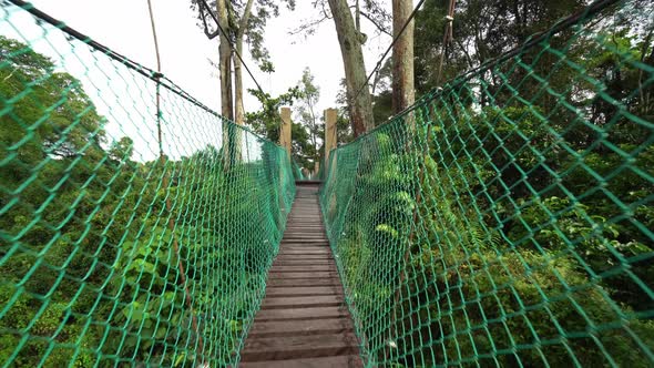 Canopy walk in Malaysia rainforest