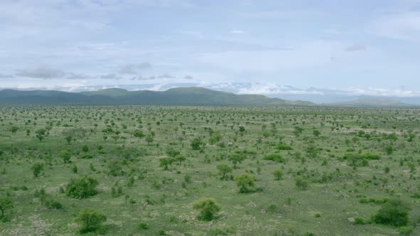 Aerial View of African Savannah