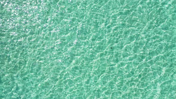Tropical drone copy space shot of a sunshine white sandy paradise beach and aqua blue ocean background