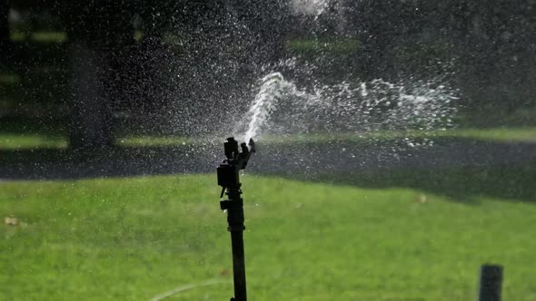 Automatic Lawn Sprinkler in the Green Garden Watering Grass in Slow Motion